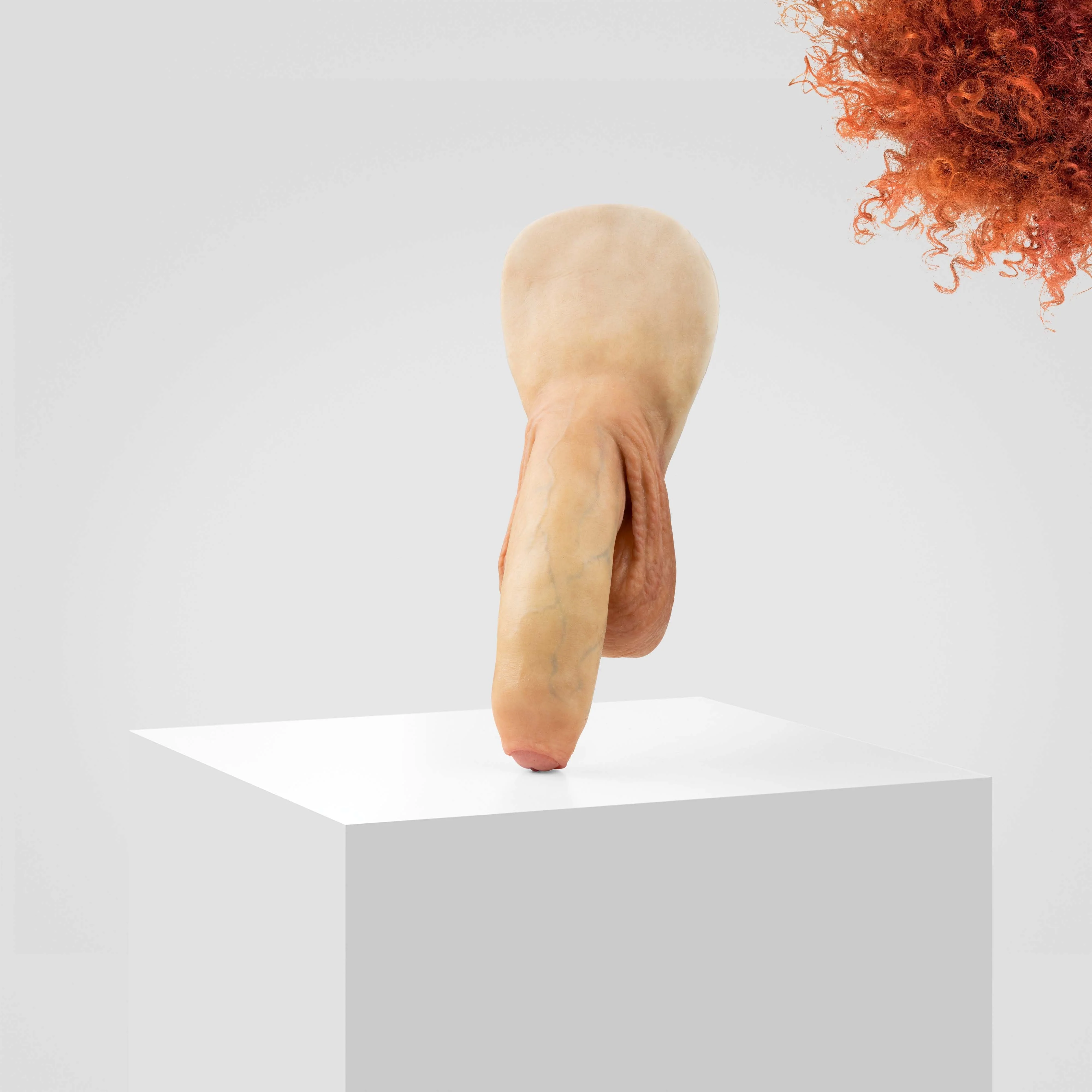 Product image 113