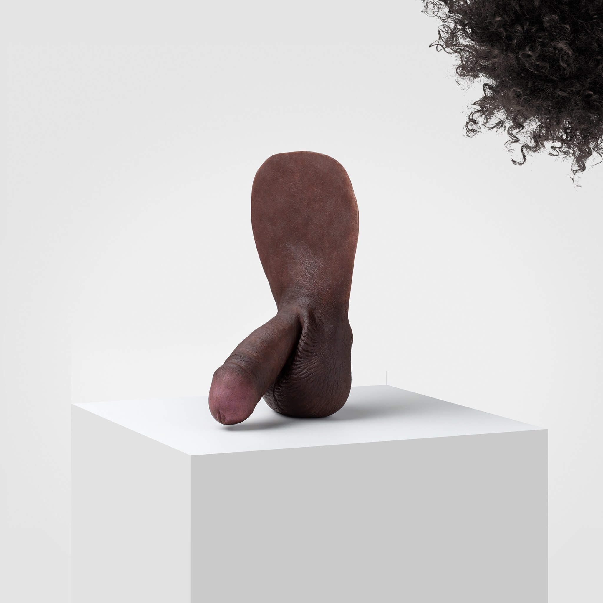 Product image 100