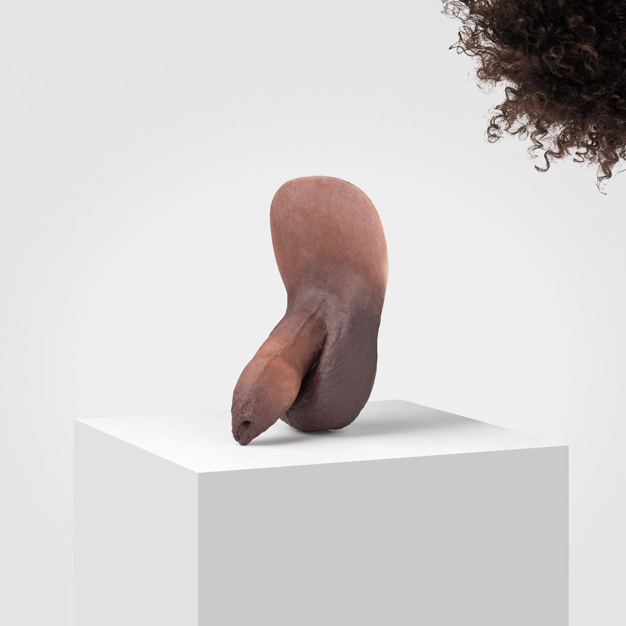 Product image 100